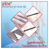 Cannulated Cancellous Screws