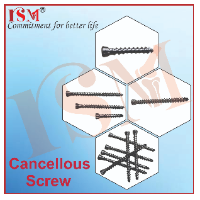 Cancellous Screw 