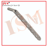 Orthopedic Hip Plate 