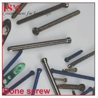 Bone Screws