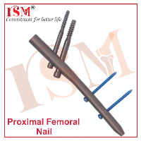 Proximal Femoral Nail (PFN)